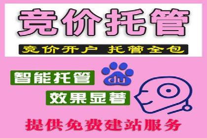 案例解析：如何通过百度推广实现快速转化